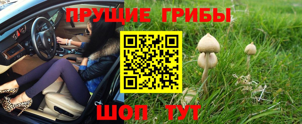Псилоцибиновые грибы прущие грибы  как найти закладки  Ярцево  Псилоцибиновые грибы Psilocybe  Вход с VPN 